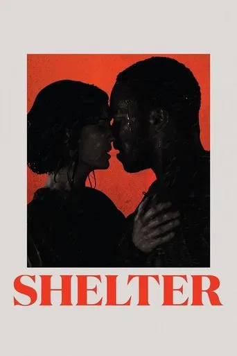 Shelter poster