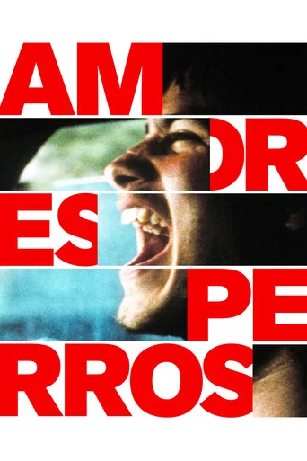Amores Perros poster