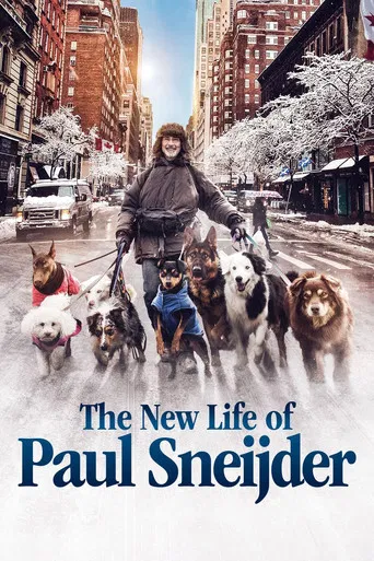 The New Life of Paul Sneijder poster
