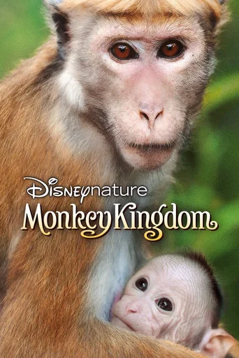 Monkey Kingdom poster