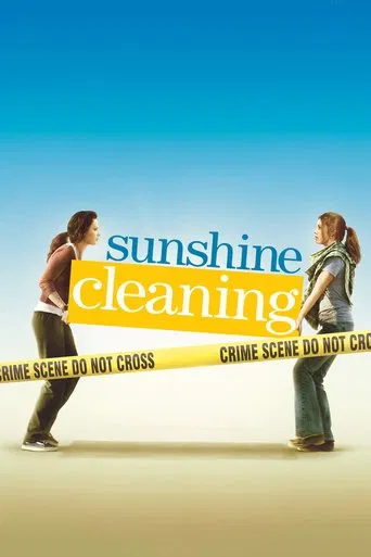 Sunshine Cleaning poster