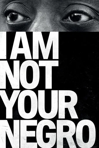 I Am Not Your Negro poster