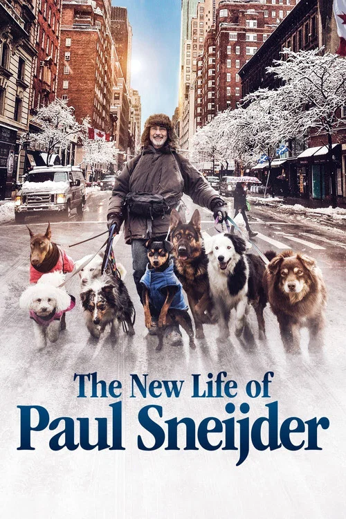 The New Life of Paul Sneijder poster