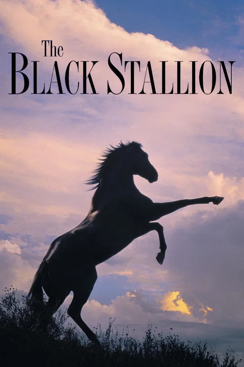 The Black Stallion poster